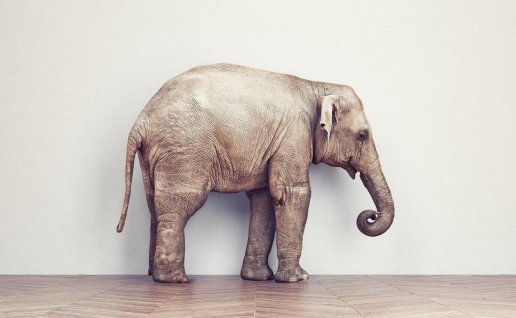 文章样式五：视频列表